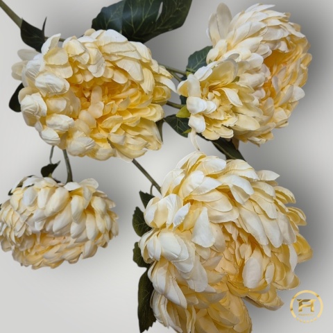 KSA7796 Bukiet Chryzantemy 24 szt