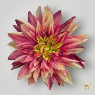 KZA06-17 Dalia wyrobowa 288szt