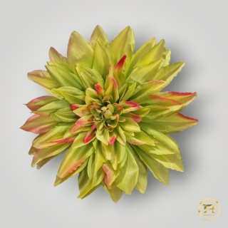 KZA06-27 Dalia wyrobowa 288szt