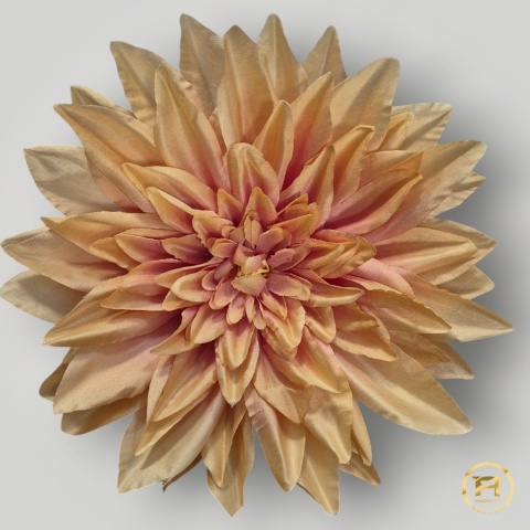KZA06-5 Dalia wyrobowa 288sz