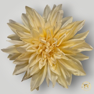KZA06-12 Dalia wyrobowa 288szt