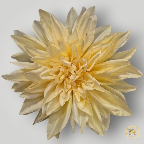KZA06-12 Dalia wyrobowa 120szt