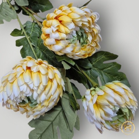 KSA259 Bukiet Chryzantemy mix 144szt