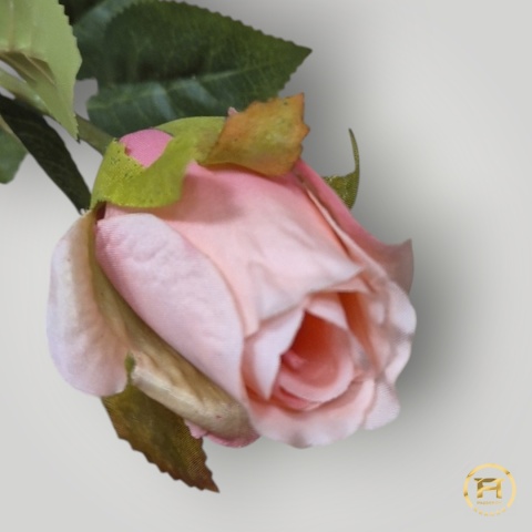 KSA7716 Róża pojedyńcza mix 960szt