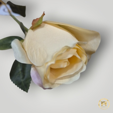 KSA7716 Róża pojedyńcza mix 960szt