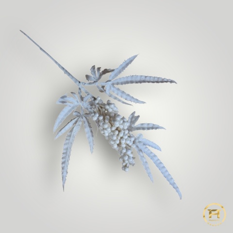 HY-21006B Biała Gałązka 48 szt