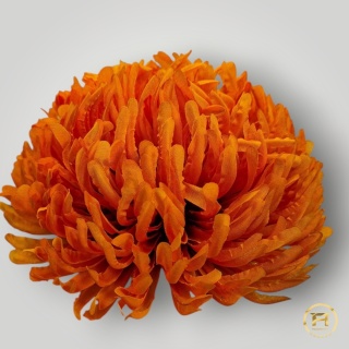 KTA727-2 Chryzantema wyrobowa 120szt