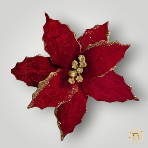 XY22-077 Gwiazda Betlejemska 72szt