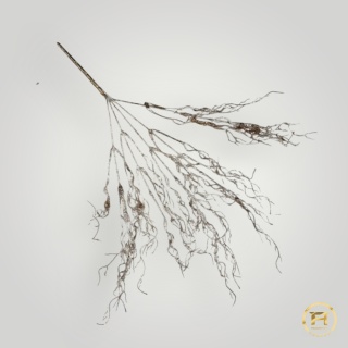 KWO3567-16 Gałązka brokatowa 72 szt