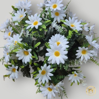 XR2994 Bukiet białych margaretek 24szt