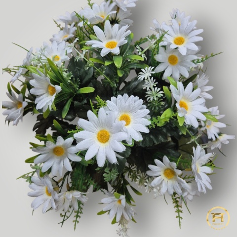 XR2994 Bukiet białych margaretek 24szt