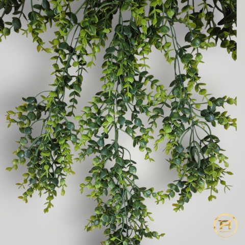 XR4445 Zwis bukszpan 24szt