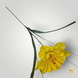 TM0101 żonkil pojedyńczy z łodygą 288 szt