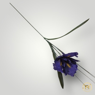 TM0102 Irys z łodygą 288szt