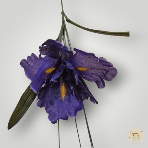 TM0102 Irys z łodygą 288szt