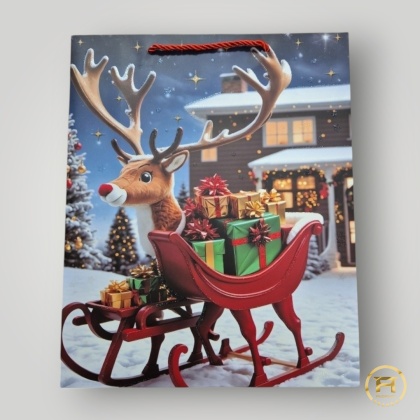 Torebka MA-2476 op.12szt