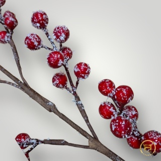 XY16-586-1 Gałązka świąteczna 36 szt