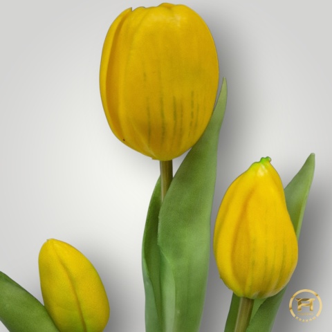 KK-100-MIX Tulipan Gumowy w doniczce 36szt