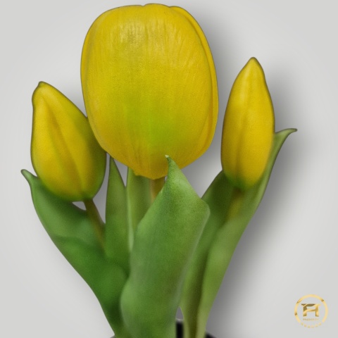 KK-100-MIX Tulipan Gumowy w doniczce 36szt