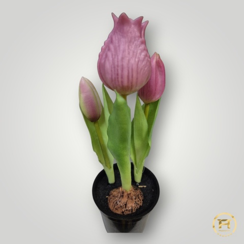 KK-101-mix Tulipan Gumowy w doniczce 36szt