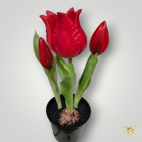 KK-101-mix Tulipan Gumowy w doniczce 36szt