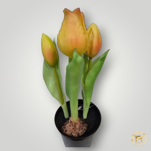 KK-101-mix Tulipan Gumowy w doniczce 36szt