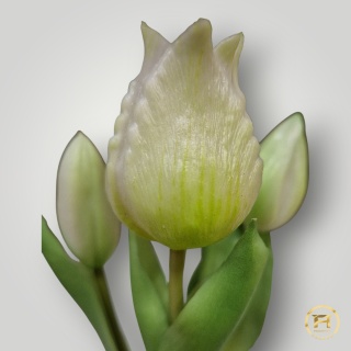 KK-101-mix Tulipan Gumowy w doniczce 108szt