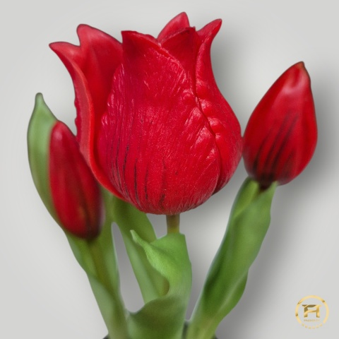 KK-101-mix Tulipan Gumowy w doniczce 108szt