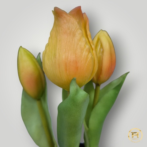 KK-101-mix Tulipan Gumowy w doniczce 108szt