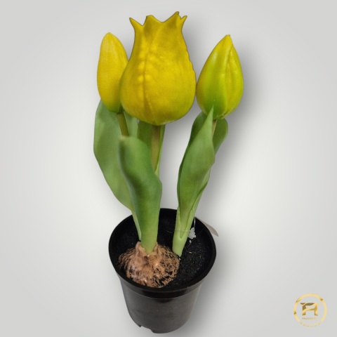 KK-101-mix Tulipan Gumowy w doniczce 108szt