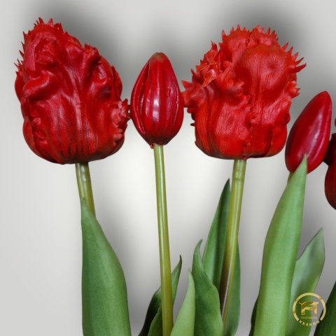 KK-201-3 Tulipan gumowy 12szt