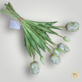 KK-201-4 Tulipan gumowy 60szt