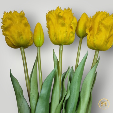 KK-201-mix Tulipan Gumowy 12szt