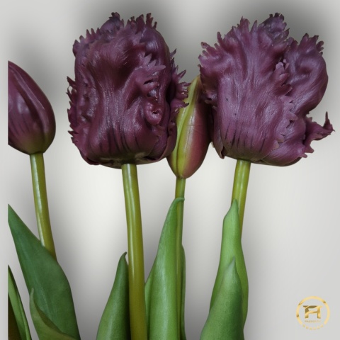 KK-201-mix Tulipan Gumowy 12szt