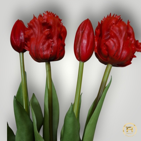 KK-201-mix Tulipan Gumowy 12szt