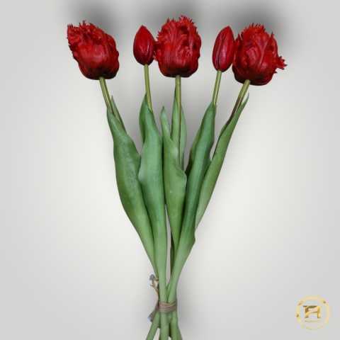 KK-201-mix Tulipan Gumowy 72szt