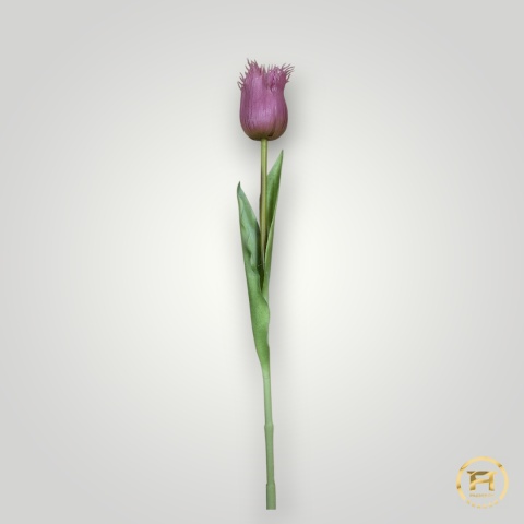 KK-202-mix Tulipan gumowy 36szt