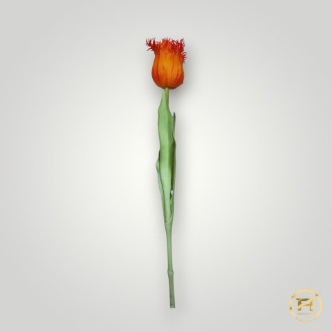 KK-202-mix Tulipan gumowy 36szt