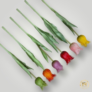 KK-202-mix Tulipan gumowy 36szt