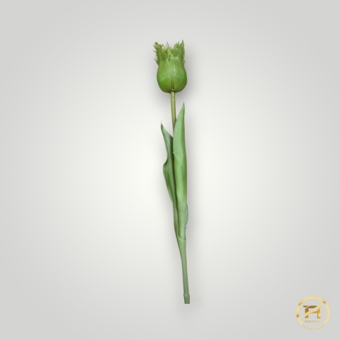 KK-202-mix Tulipan gumowy 36szt