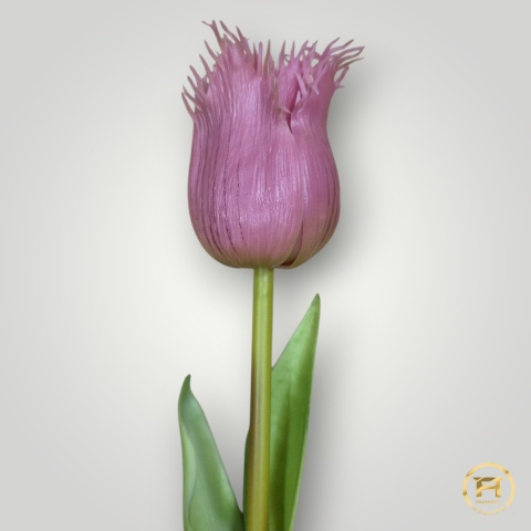 KK-202-mix Tulipan gumowy 36szt