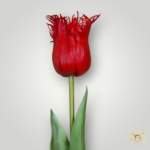 KK-202-mix Tulipan gumowy 36szt