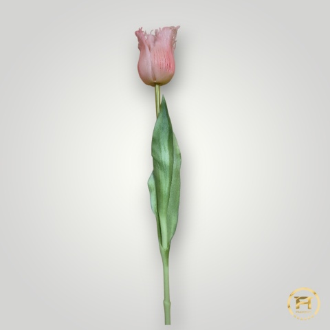 KK-202-mix Tulipan gumowy 36szt