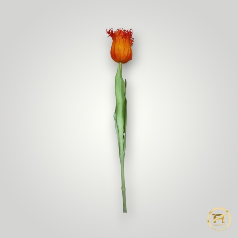 KK-202-mix Tulipan gumowy 36szt