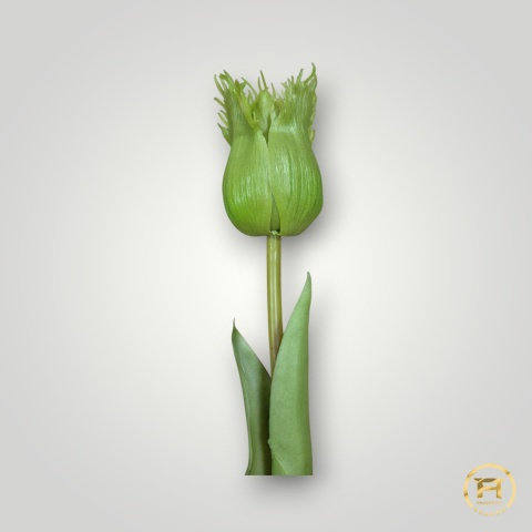 KK-202-mix Tulipan gumowy 216szt