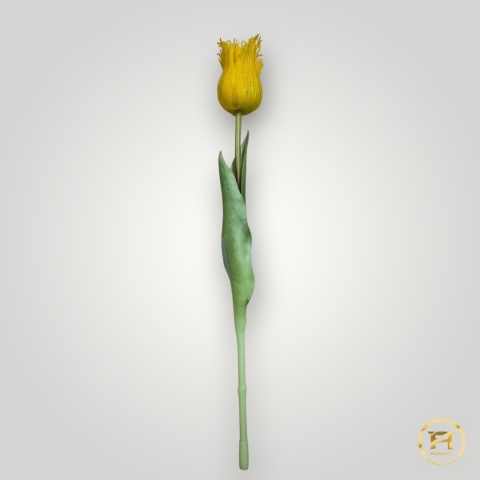 KK-202-mix Tulipan gumowy 216szt