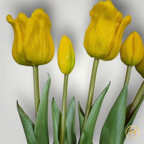 KK-203-1 Tulipan Gumowy 60szt