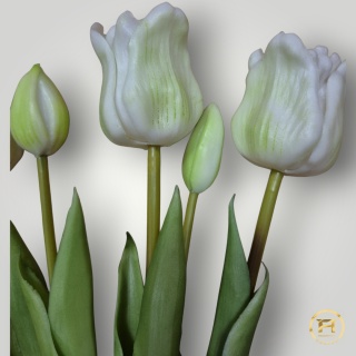 KK-203-4 Tulipan Gumowy 12szt