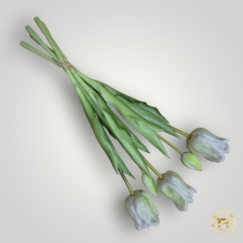 KK-203-4 Tulipan Gumowy 12szt