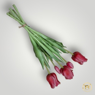 KK-203-5 Tulipan Gumowy 12szt